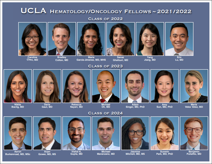 photo roster of current hemonc fellows
